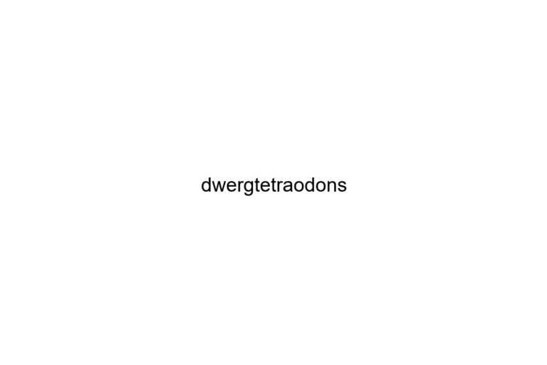 dwergtetraodons