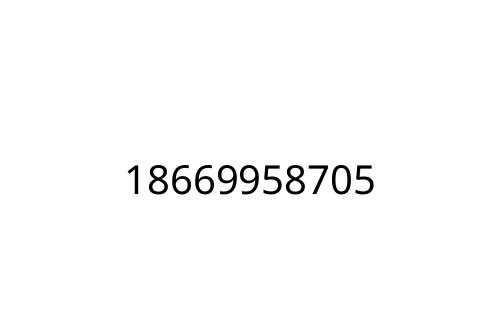 18669958705