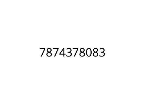 7874378083