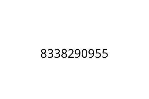 8338290955