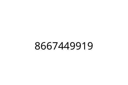 8667449919