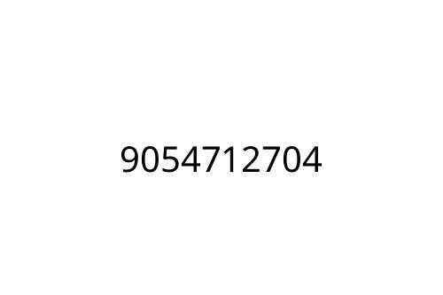 9054712704