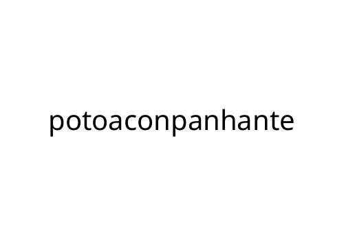 potoaconpanhante