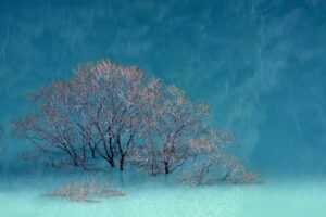 good places to live for young adults