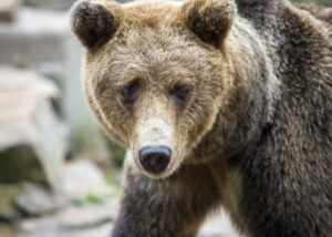 guys if you like a lady, will you sit next to her or across her