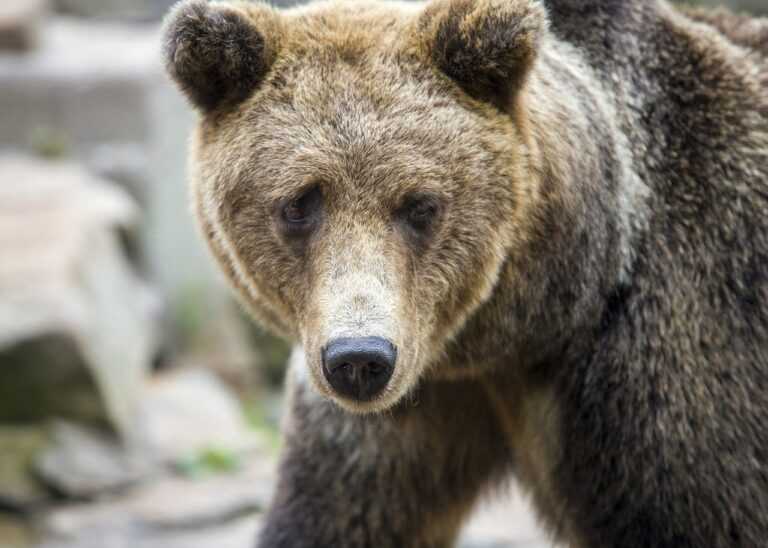 guys if you like a lady, will you sit next to her or across her