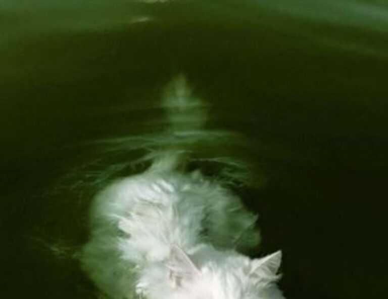 how air conditioner uy48lo works in house