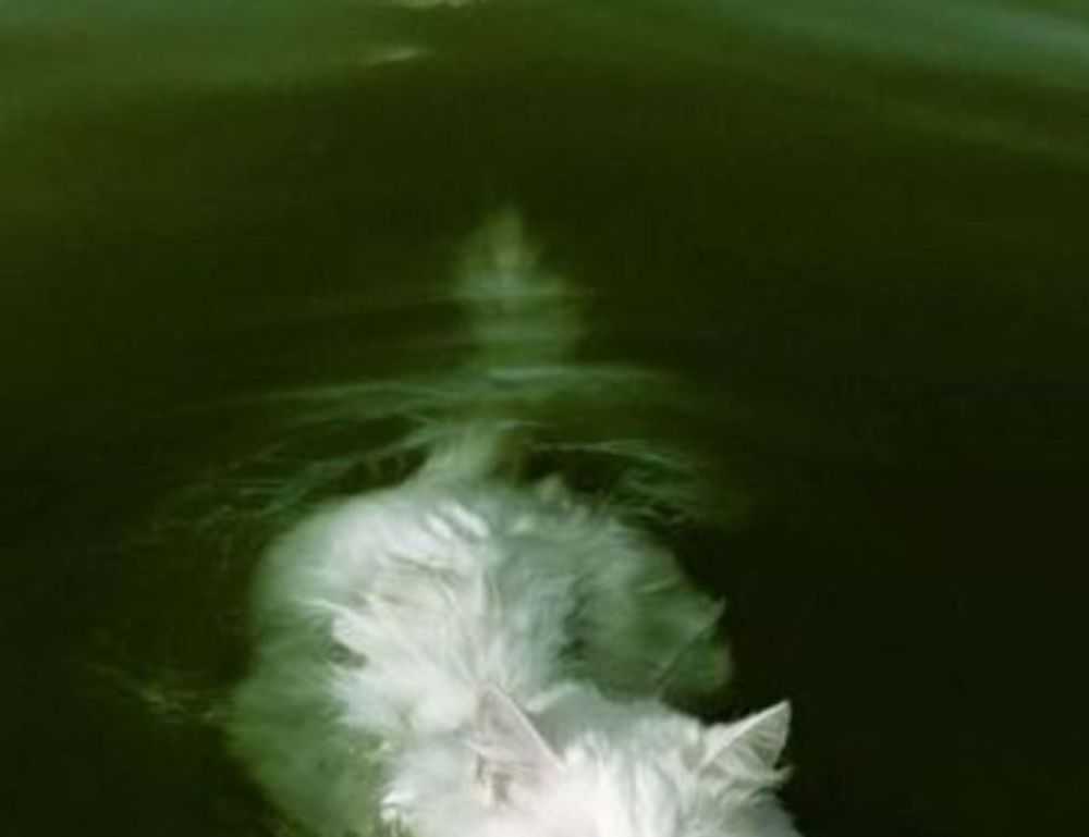 how air conditioner uy48lo works in house