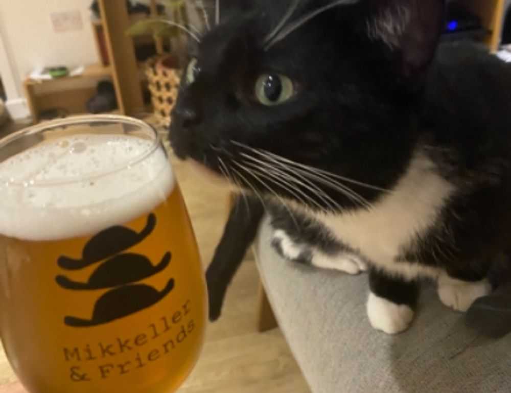 how to hacking zillexit software