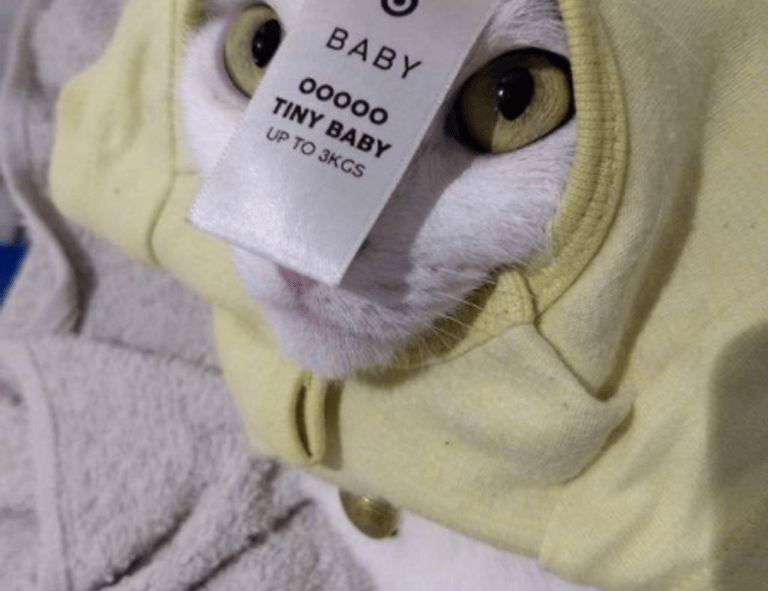 which area in beevitius is the best to stay