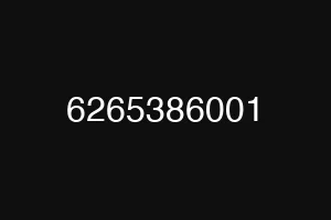 6265386001