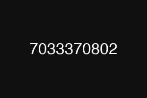 7033370802