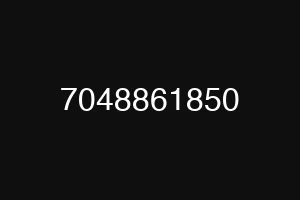 7048861850