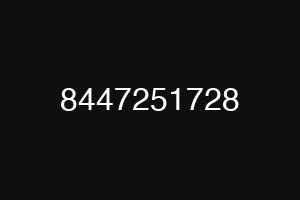 8447251728