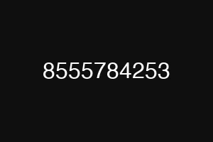 8555784253