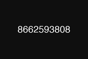 8662593808