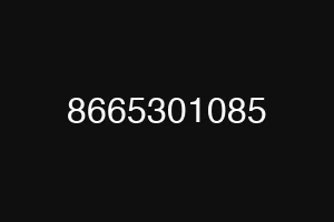 8665301085