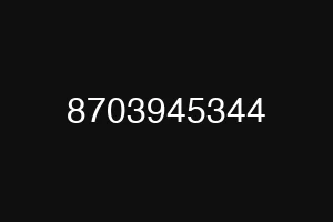 8703945344