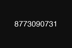 8773090731