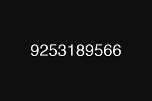 9253189566