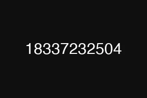 18337232504