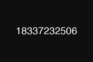 18337232506