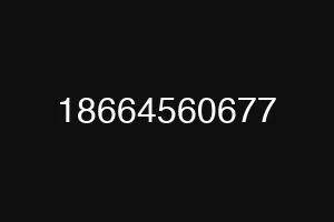 18664560677