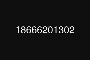 18666201302