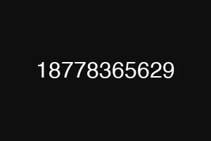18778365629