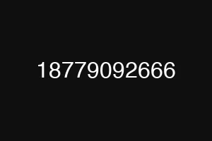 18779092666