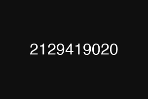 2129419020