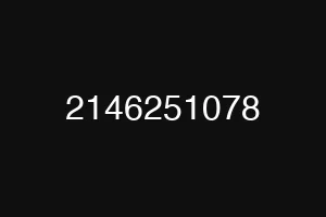 2146251078