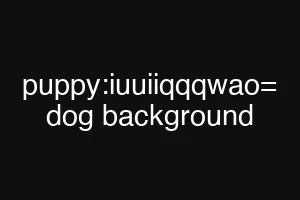 puppy:iuuiiqqqwao= dog background