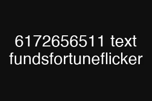6172656511 text fundsfortuneflicker